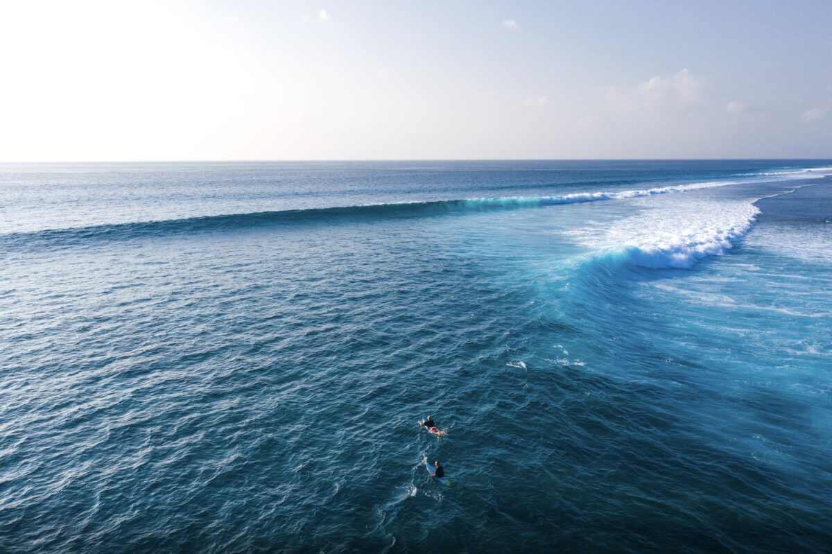 Discover the best time to surf in the Maldives
